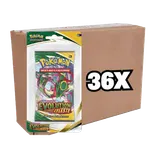 Case de 36 Blisters Évolution Céleste