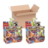 Case de 6 Displays Flammes Obsidiennes