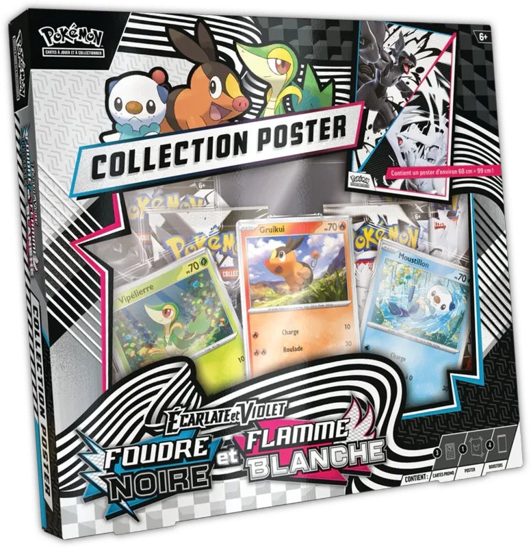 Coffret Collection Poster Rivalités Destinées